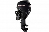 MERCURY F 25 ELPT EFI